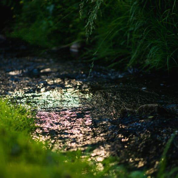 Nałęczowianka  – naturalna jakość  i czystość prosto ze źródeł ziemi