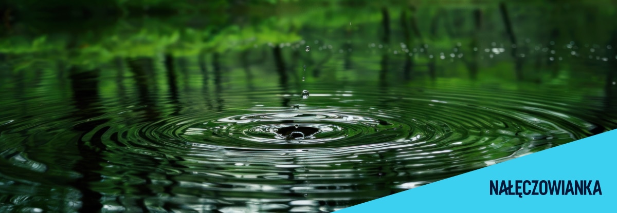 Nestlé Waters Polska i Fundacja Hydroni ze współpracą strategiczną na rzecz regeneracji wody