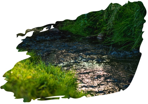 Zdjęcie zasobów naturalnych