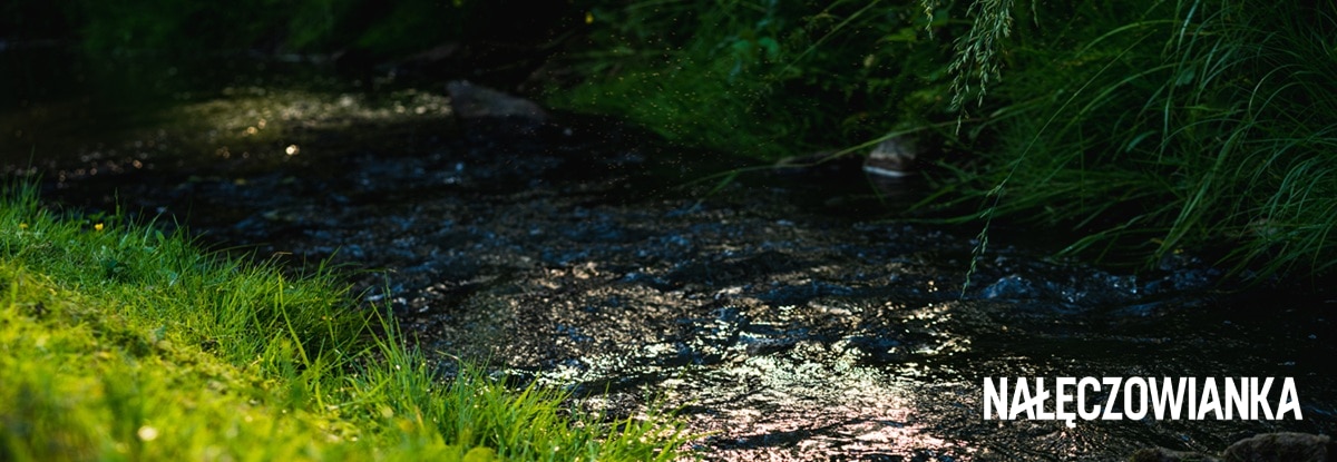 Nestlé Waters i Fundacja Hydroni 