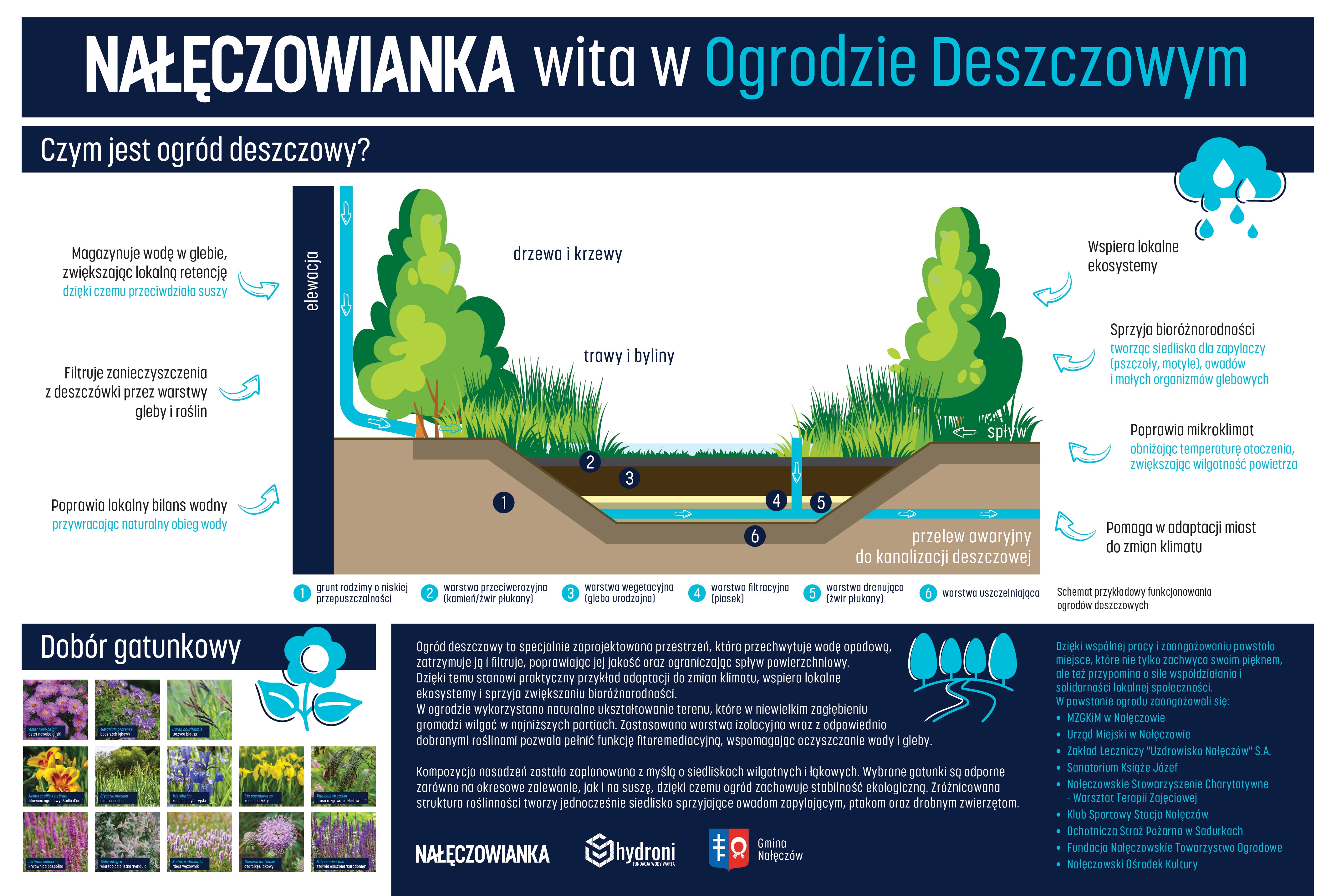 Ogrody deszczowe Nałęczowianki